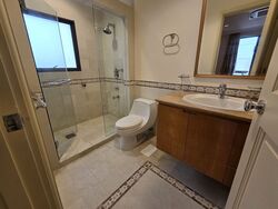 Heritage Apartments (D10), Condominium #478086361